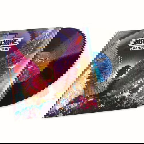 Indochine - L'amour Fou (MV)