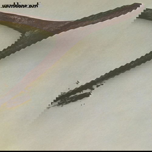 Wishbone Ash - Wishbone Ash (LP)