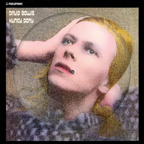 David Bowie - Hunky Dory (Picture Disc) - Indie Only (LP)