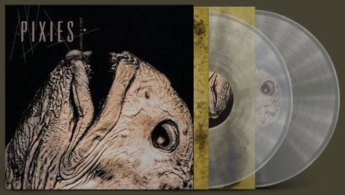 Pixies - Complete B-Sides: 1988-97 (Clear Vinyl) - 2LP (LP)