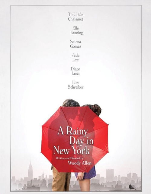 Film - A Rainy Day In New York (DVD)
