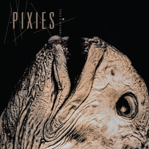 Pixies - Complete B-Sides: 1988-97 - 2CD (CD)