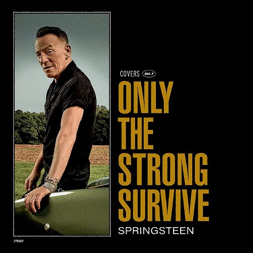 Bruce Springsteen - Only The Strong Survive - 2LP (LP)