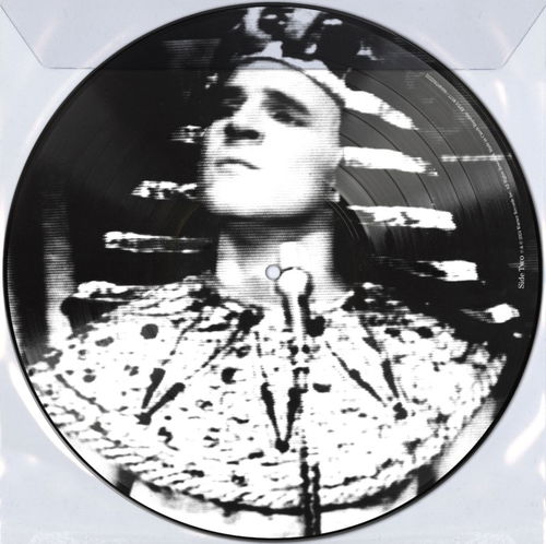 Steve Martin & The Toot Uncommons - King Tut (Picture disc) - Bf24 (LP)