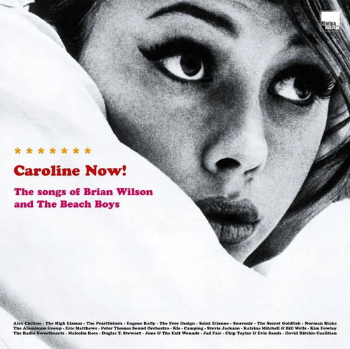 Various - Caroline Now! The Songs Of Brian Wilson And The Beach Boys (25th Anniversary Edition) - 2LP RSD25 (LP)
