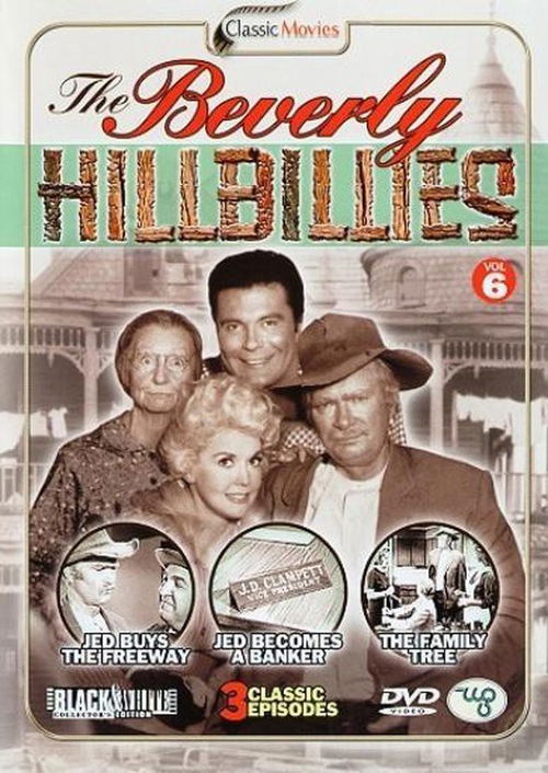 TV-Serie - Beverly Hillbillies 6 (DVD)