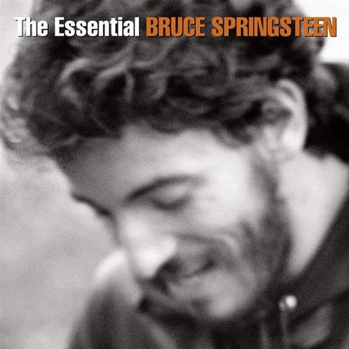 Bruce Springsteen - The Essential Bruce Springsteen (3CD) (CD)