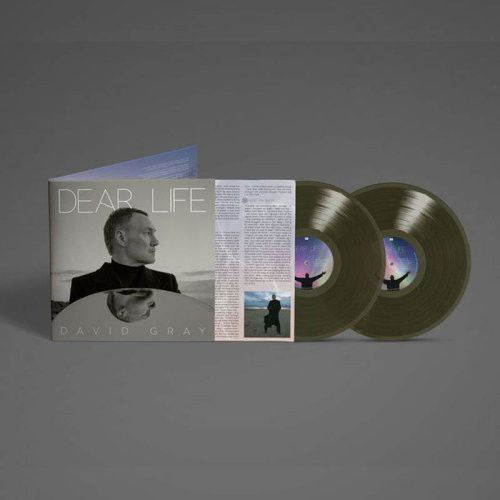 David Gray - Dear Life (Seaweed Green Vinyl) - 2LP (LP)