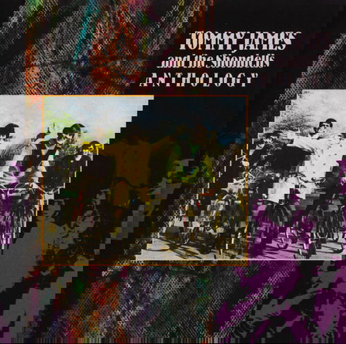 Tommy James & The Shondells - Anthology (CD)