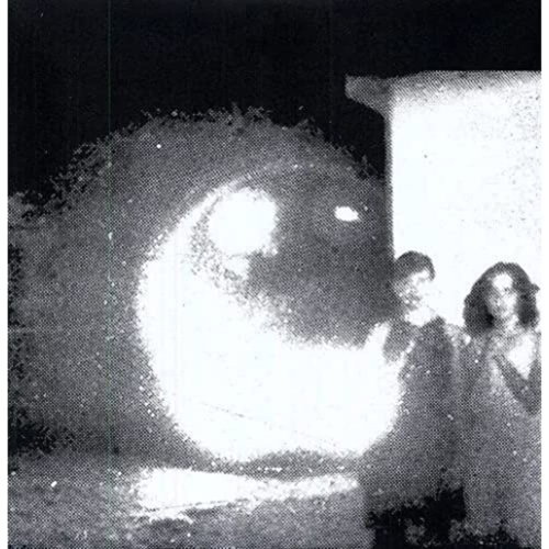 Other Lives - Tamer Animals (LP)