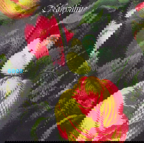 Morphine - Good (CD)