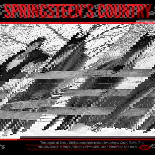 Various - Springsteen's Country (CD)