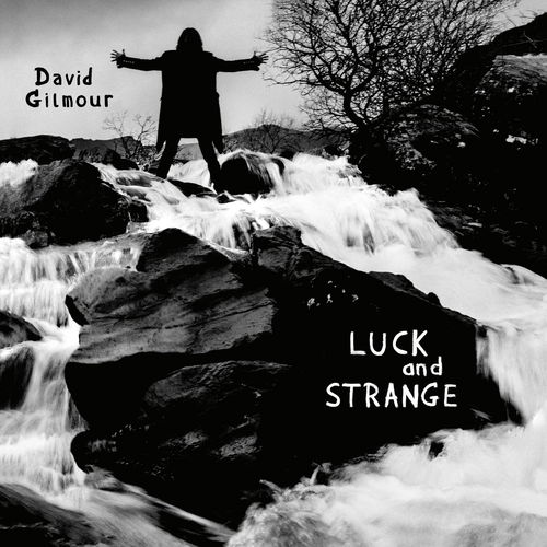 David Gilmour - Luck And Strange (LP)