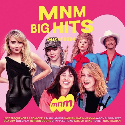 Various - MNM Big Hits - Best Of 2024 - 3CD (CD)