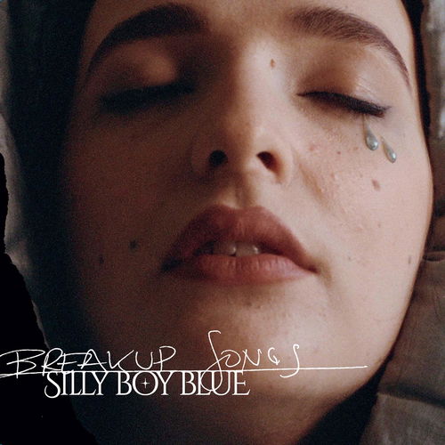 Silly Boy Blue - Breakup Songs (CD)