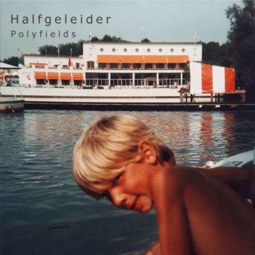 Halfgeleider - Polyfields (LP)