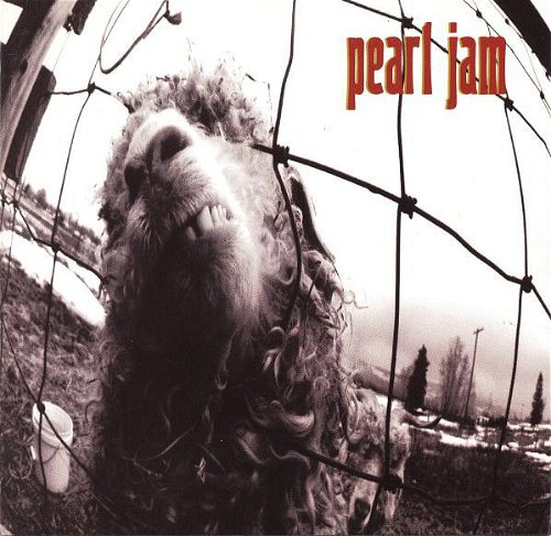Pearl Jam - Vs. (CD)