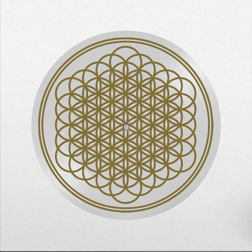 Bring Me The Horizon - Sempiternal (Picture Disc) (LP)