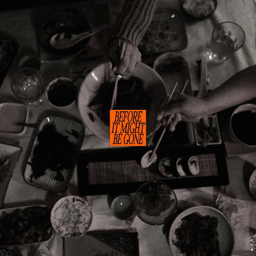 The Vices - Before It Might Be Gone (Green leaves vinyl) RSD26 (MV)