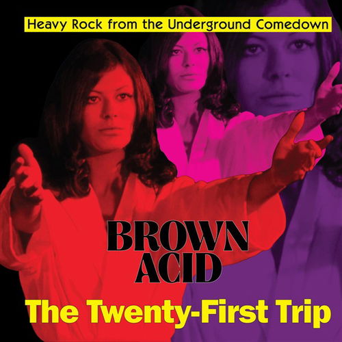 Various - Brown Acid - The Twenty-First Trip (LP)