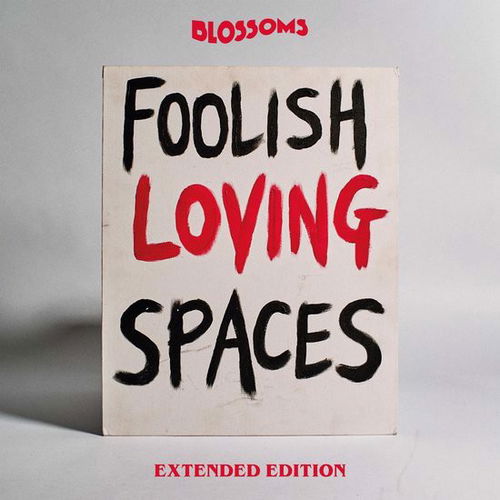 Blossoms - Foolish Loving Spaces  (CD)