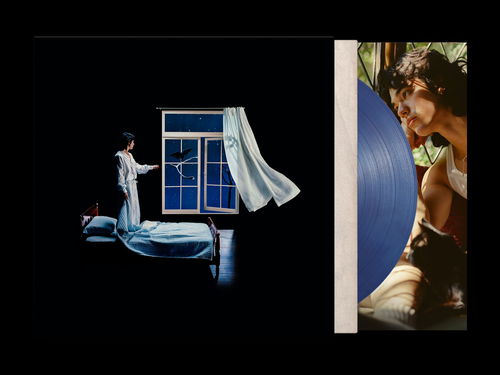 Conan Gray - Wishbone (Blue Galaxy Vinyl) (LP)