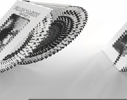 Melody Gardot - Currency Of Man (Zoetrope Vinyl) - 10th anniversary - 2LP (LP)