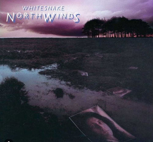 Whitesnake - North Winds (LP)