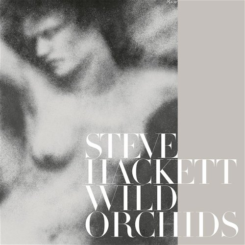 Steve Hackett - Wild Orchids (LP)