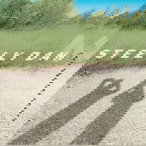 Steely Dan - Two Against Nature (Clear Vinyl) - 2LP (LP)