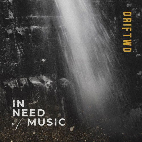 Driftwd - In Need Of Music (LP)