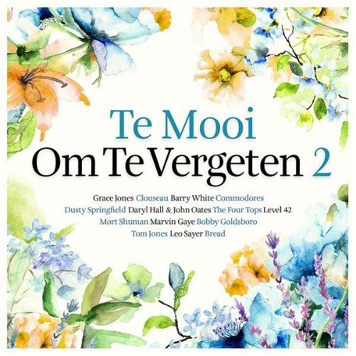 Various - Te Mooi Om Te Vergeten 2 - 2CD (CD)