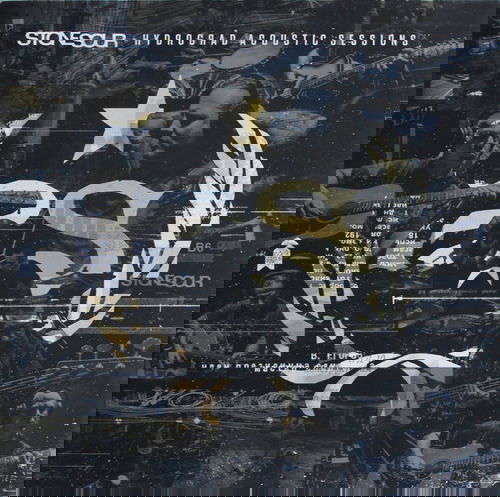 Stone Sour - Hydrograd Acoustic Sessions  (MV)