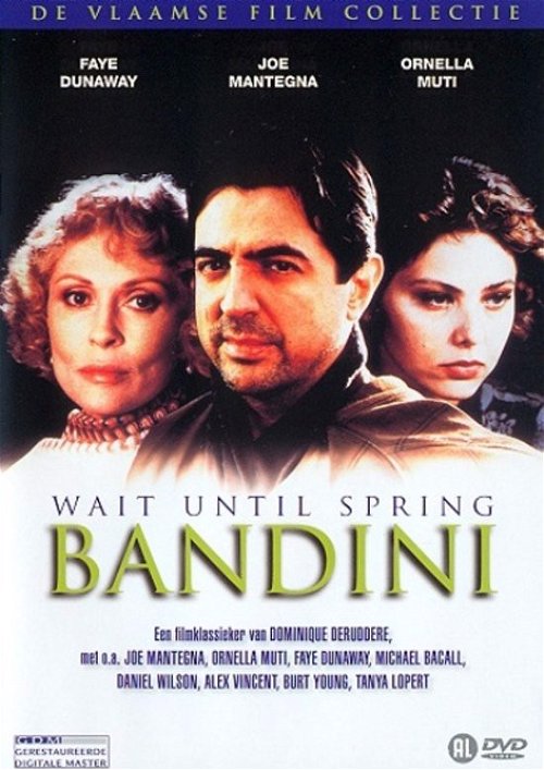 Film - Wait Until Spring Bandini (DVD)