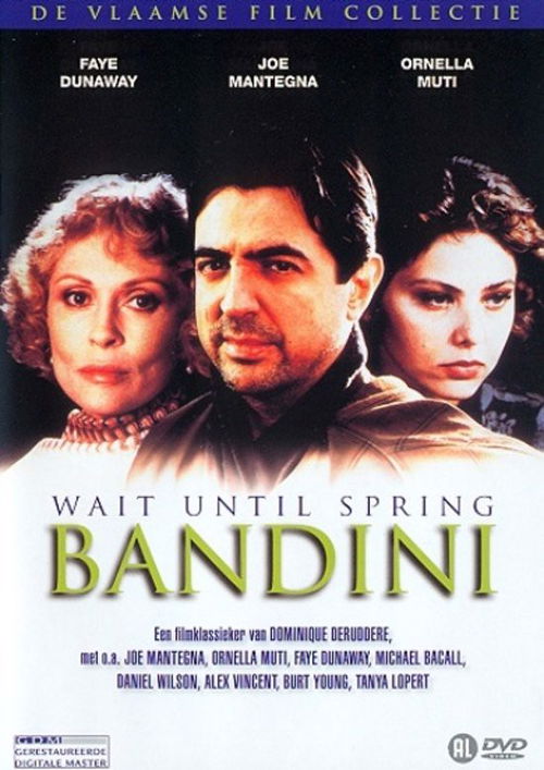 Film - Wait Until Spring Bandini (DVD)