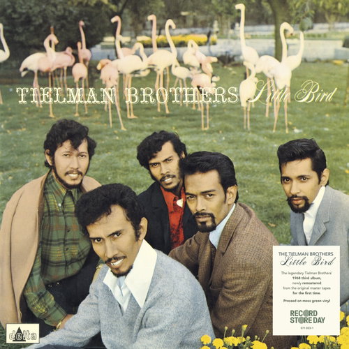 Tielman Brothers - Little Bird (Moss green vinyl) RSD26 (LP)