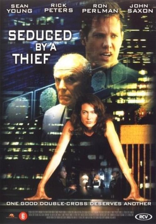 Film - Seduced By A Thief (DVD)