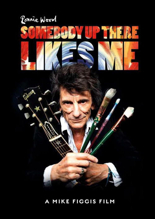 Ronnie Wood - Somebody Up There Likes Me (DVD)