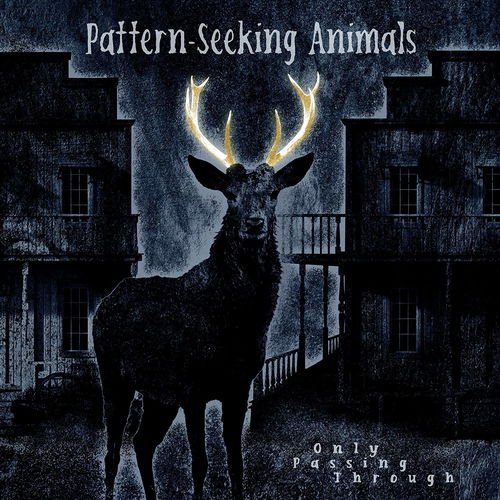 Pattern-Seeking Animals - Only Passing Through (LP)