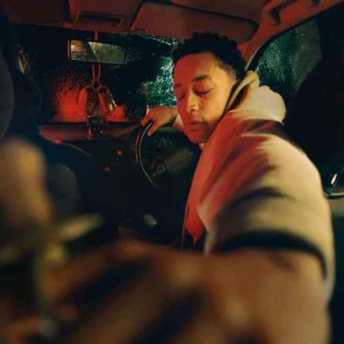Loyle Carner - Hugo (CD)