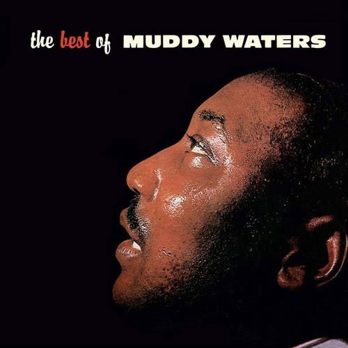 Muddy Waters - The Best Of Muddy Waters (Acoustic Sounds) (LP)