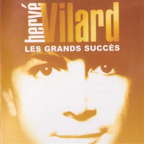 Hervé Vilard - Les Grands Succès (CD)