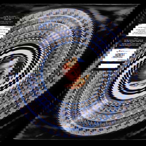 Rick Astley - Never Gonna Give You Up - Zoetrope vinyl (MV)