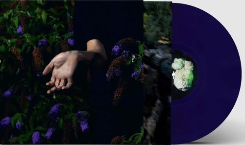 Nordmann - In Velvet (Aubergine coloured vinyl) (LP)
