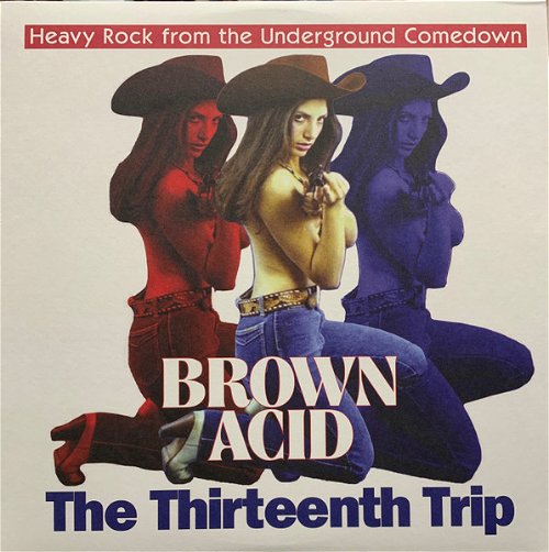 Various - Brown Acid: The Thirteenth Trip (LP)