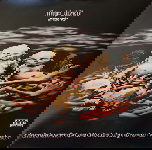 Limp Bizkit - Chocolate Starfish And The Hot Dog Flavored Water (LP)