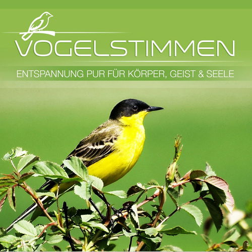 Various - Vogelstimmen - Entspannung Für Körper, Geist & Seele (CD)