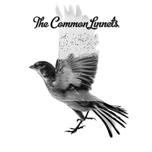 The Common Linnets - Common Linnets (CD)