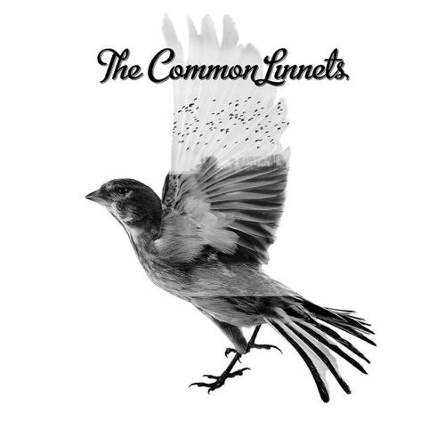 The Common Linnets - Common Linnets (CD)