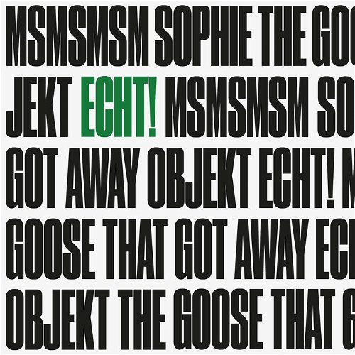 Echt! - Msmsmsm / The Goose That Got Away (SV)